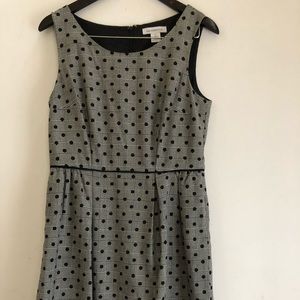Ladies Designer Apparel